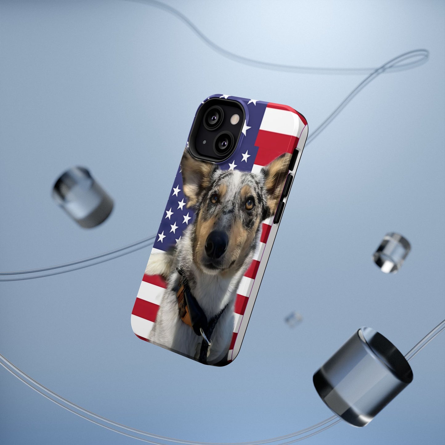 Bandit In America Impact-Resistant Cases