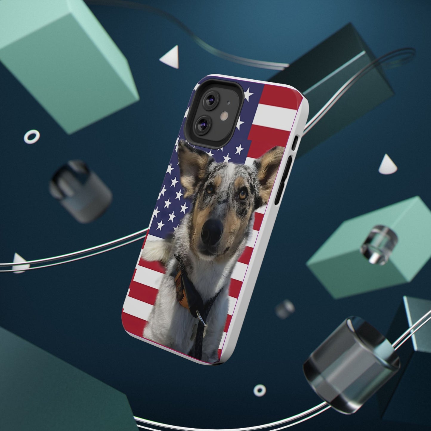 Bandit In America Impact-Resistant Cases