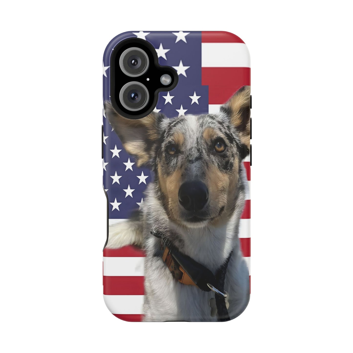 Bandit In America Impact-Resistant Cases