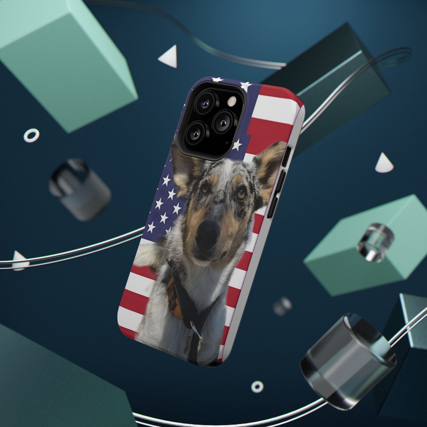 Bandit In America Impact-Resistant Cases