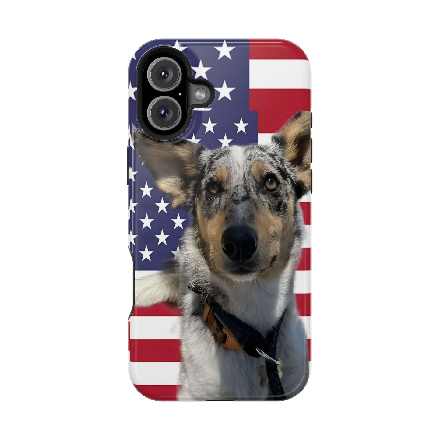Bandit In America Impact-Resistant Cases
