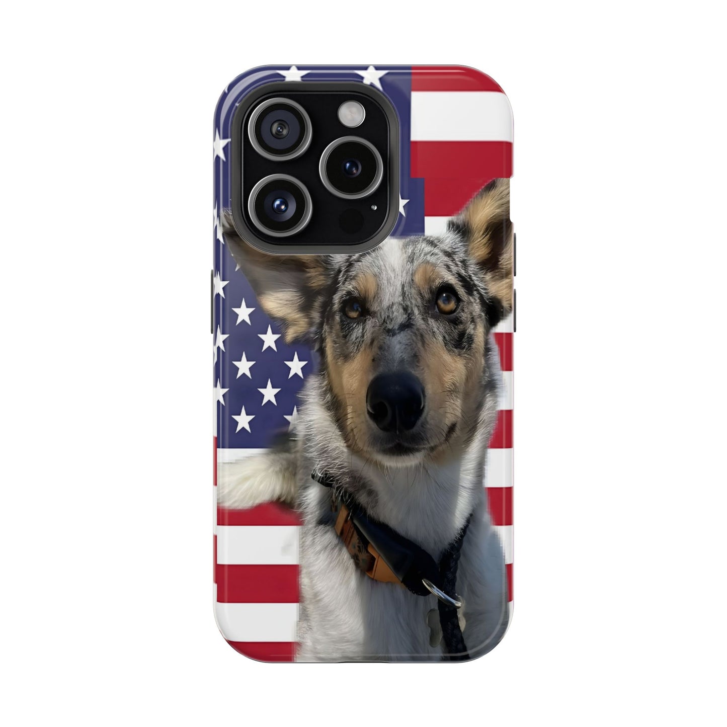 Bandit In America Impact-Resistant Cases