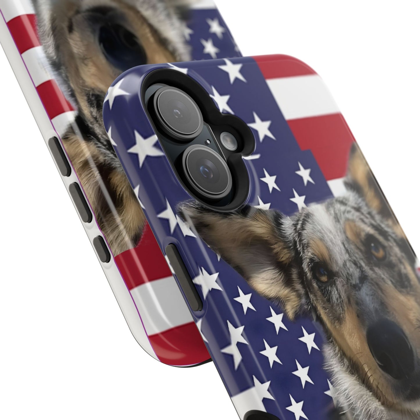 Bandit In America Impact-Resistant Cases