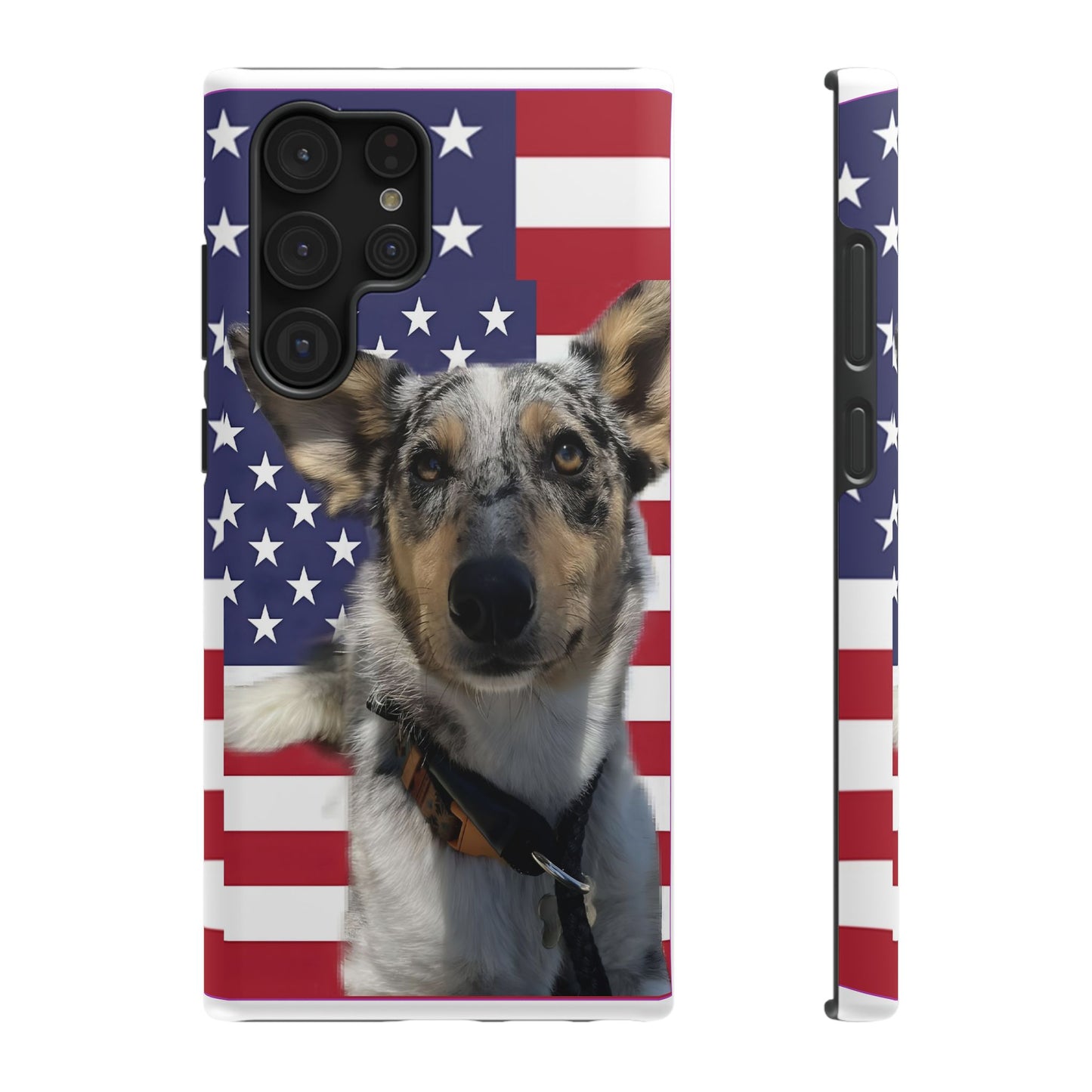 Bandit In America Impact-Resistant Cases