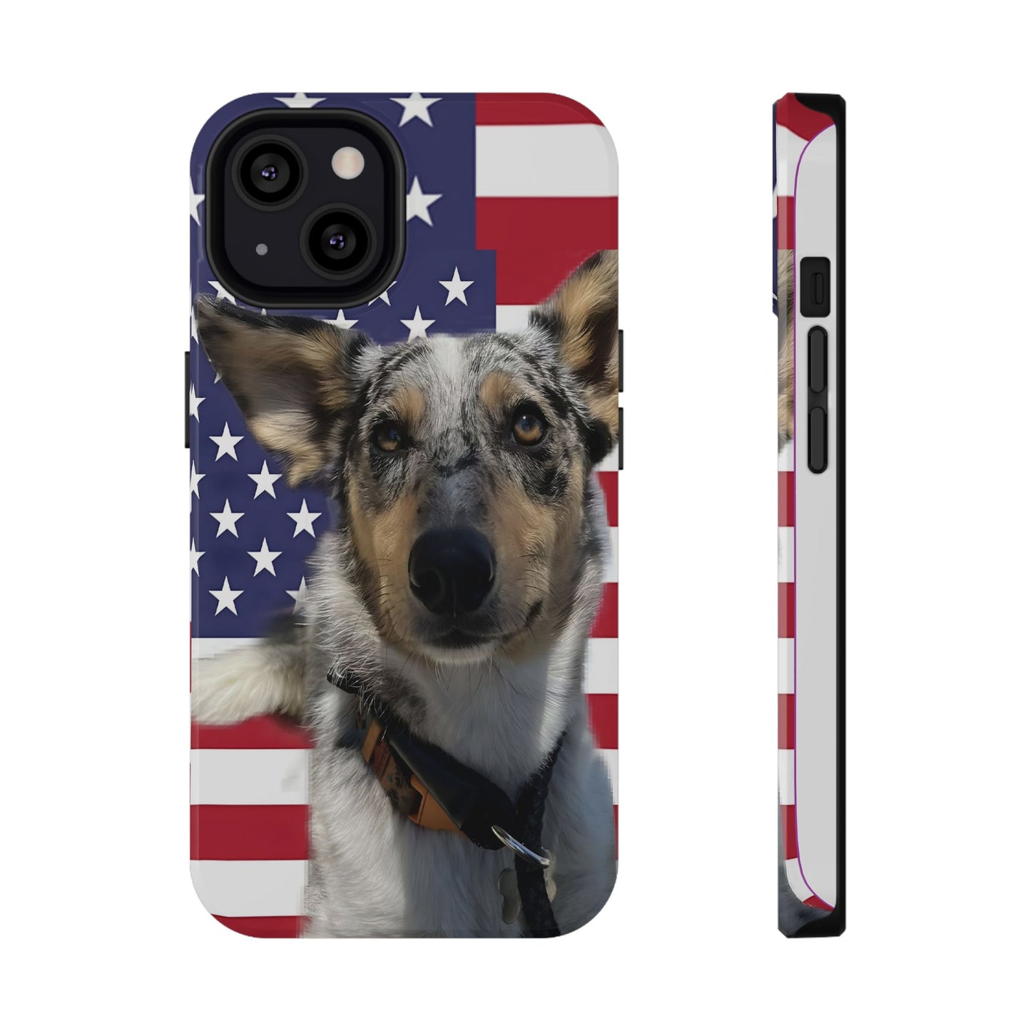 Bandit In America Impact-Resistant Cases