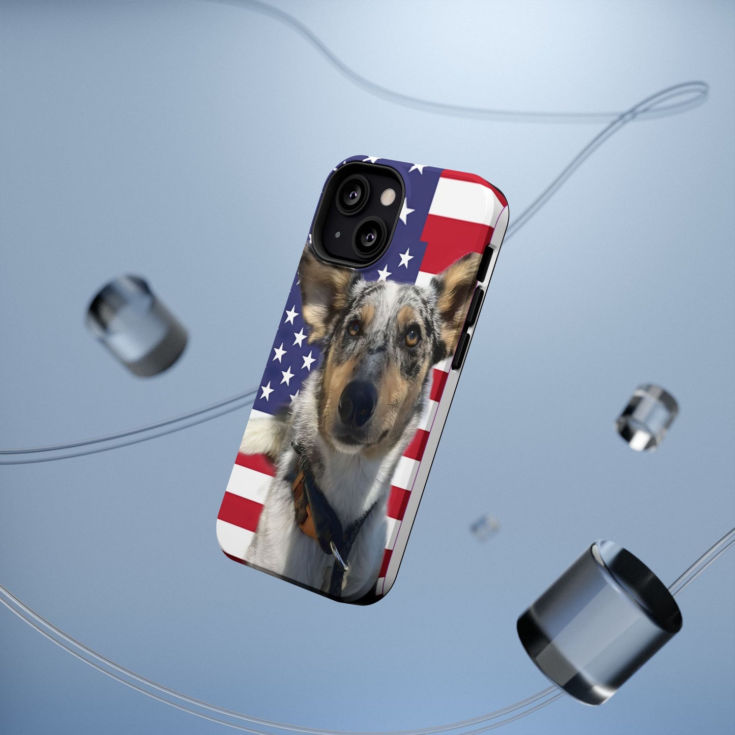 Bandit In America Impact-Resistant Cases