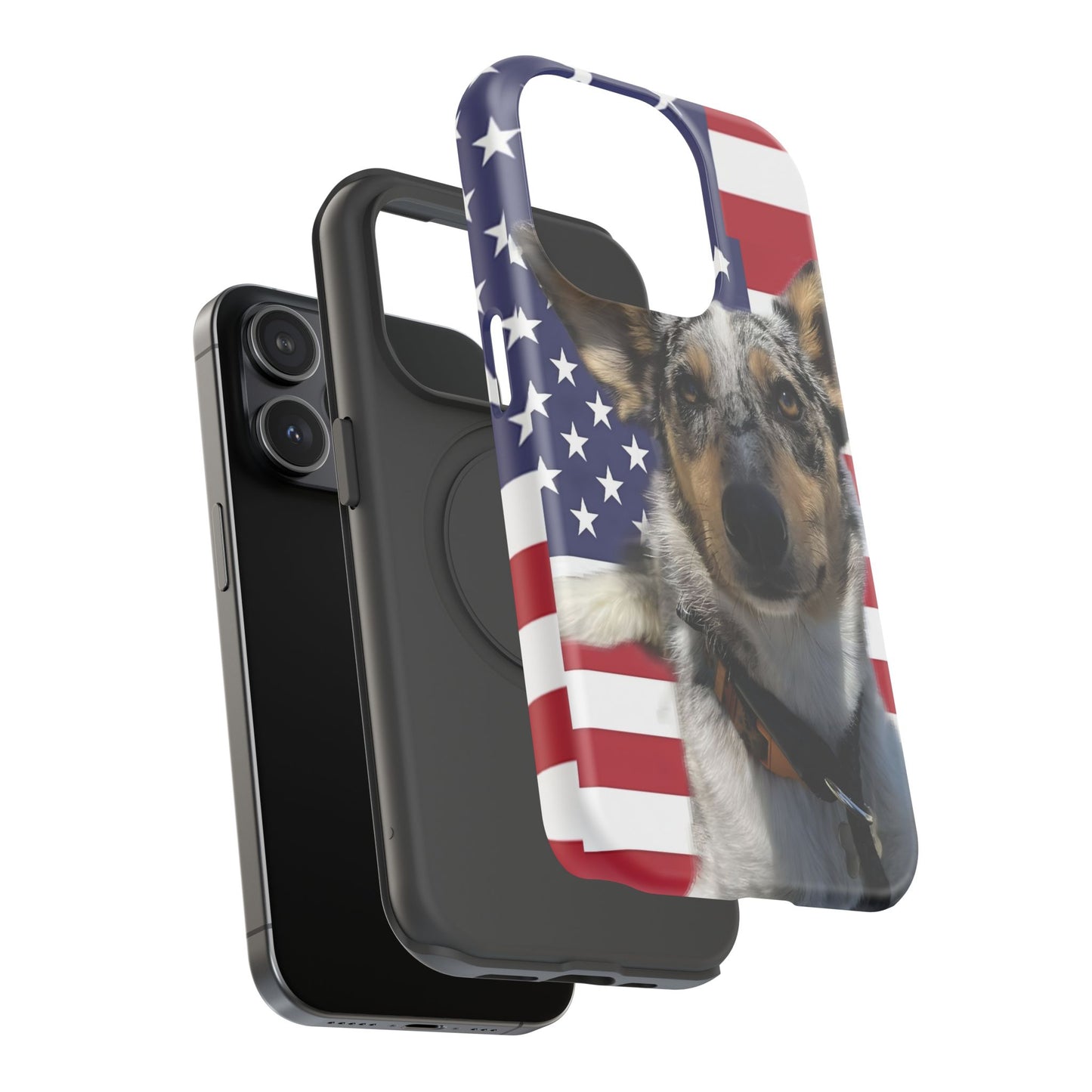 Bandit In America Impact-Resistant Cases
