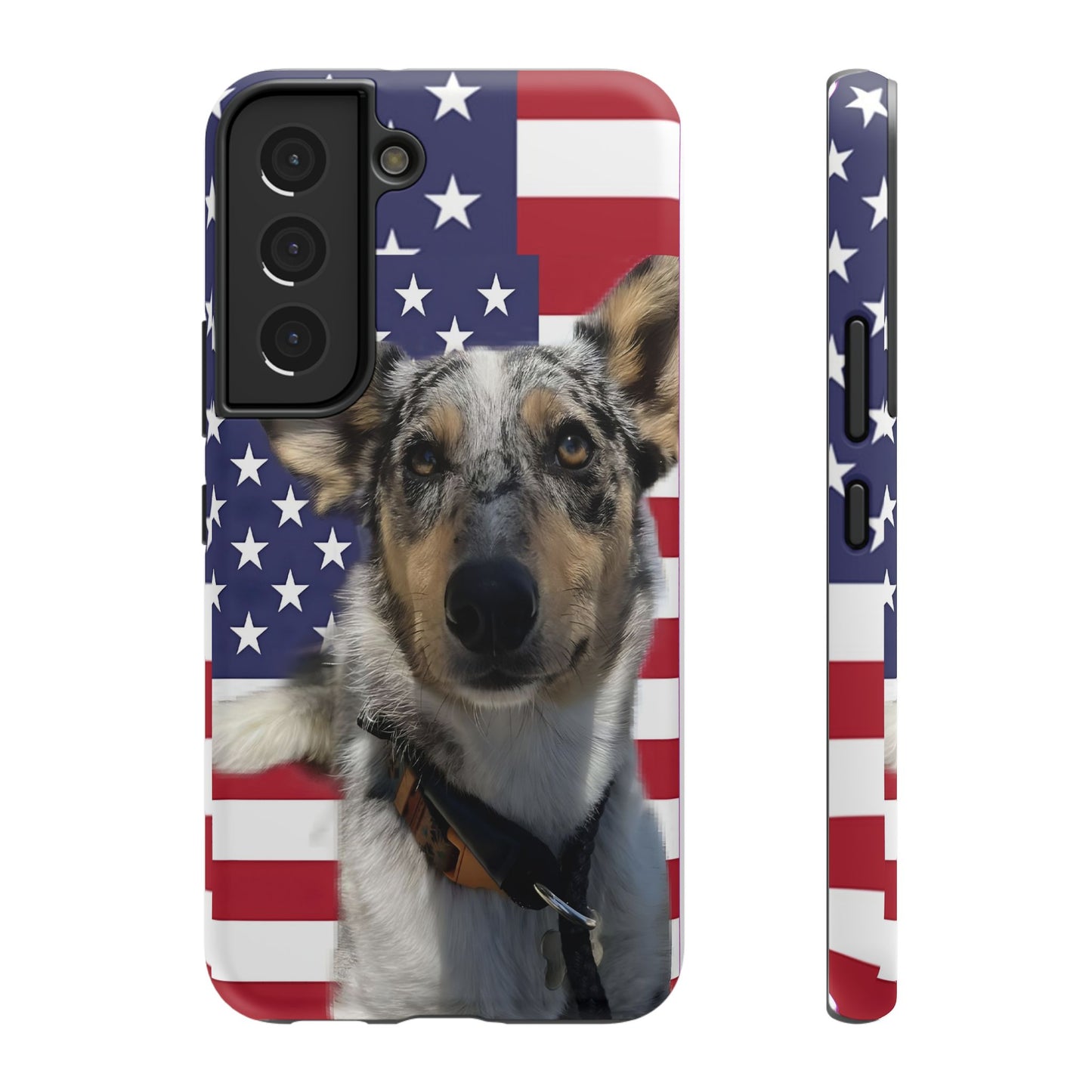 Bandit In America Impact-Resistant Cases
