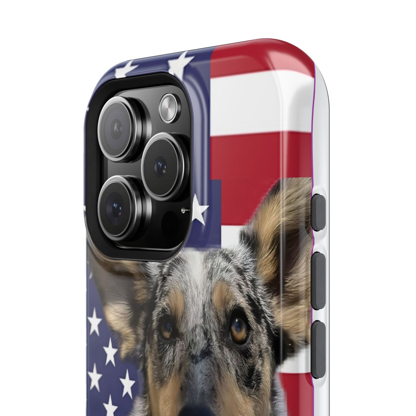 Bandit In America Impact-Resistant Cases