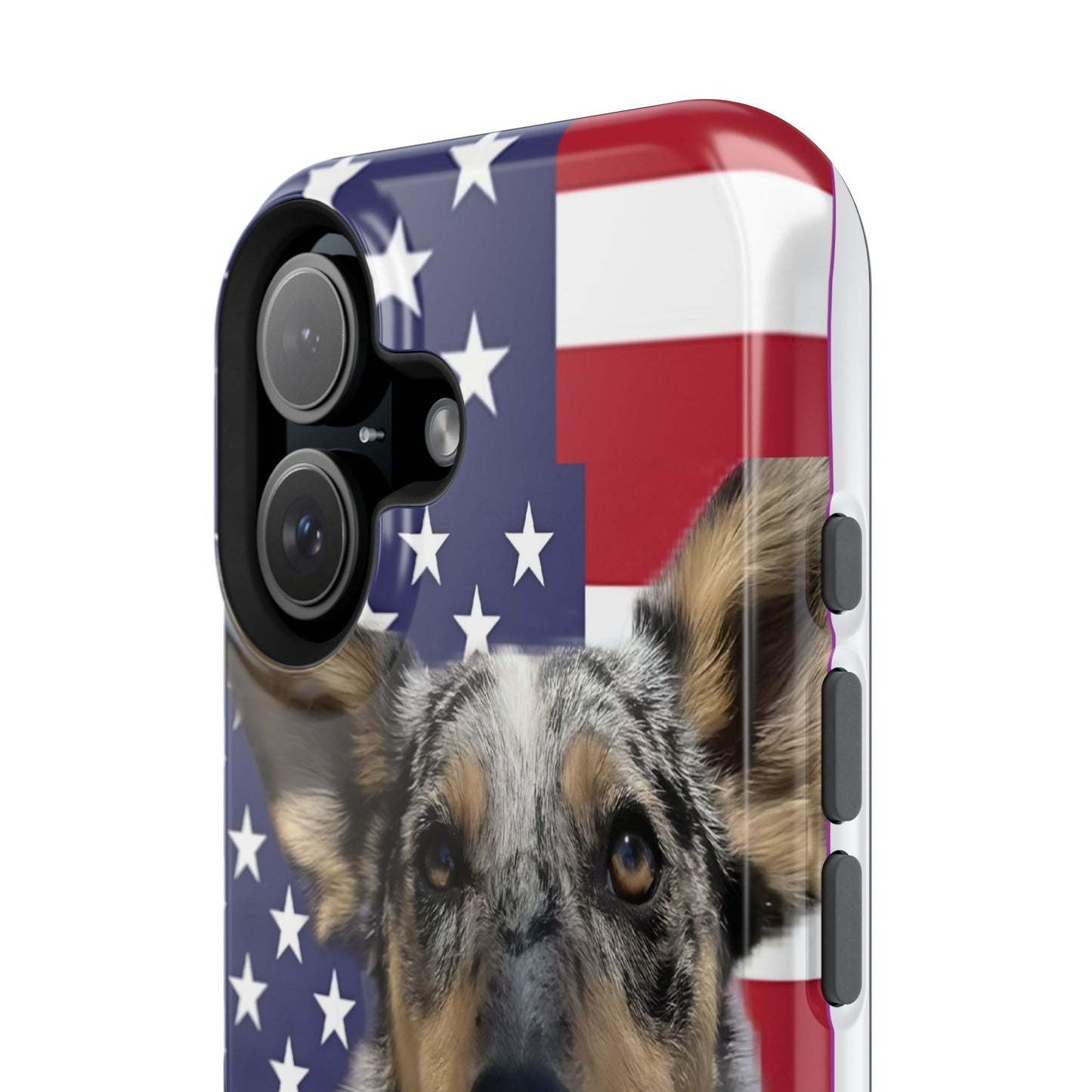 Bandit In America Impact-Resistant Cases