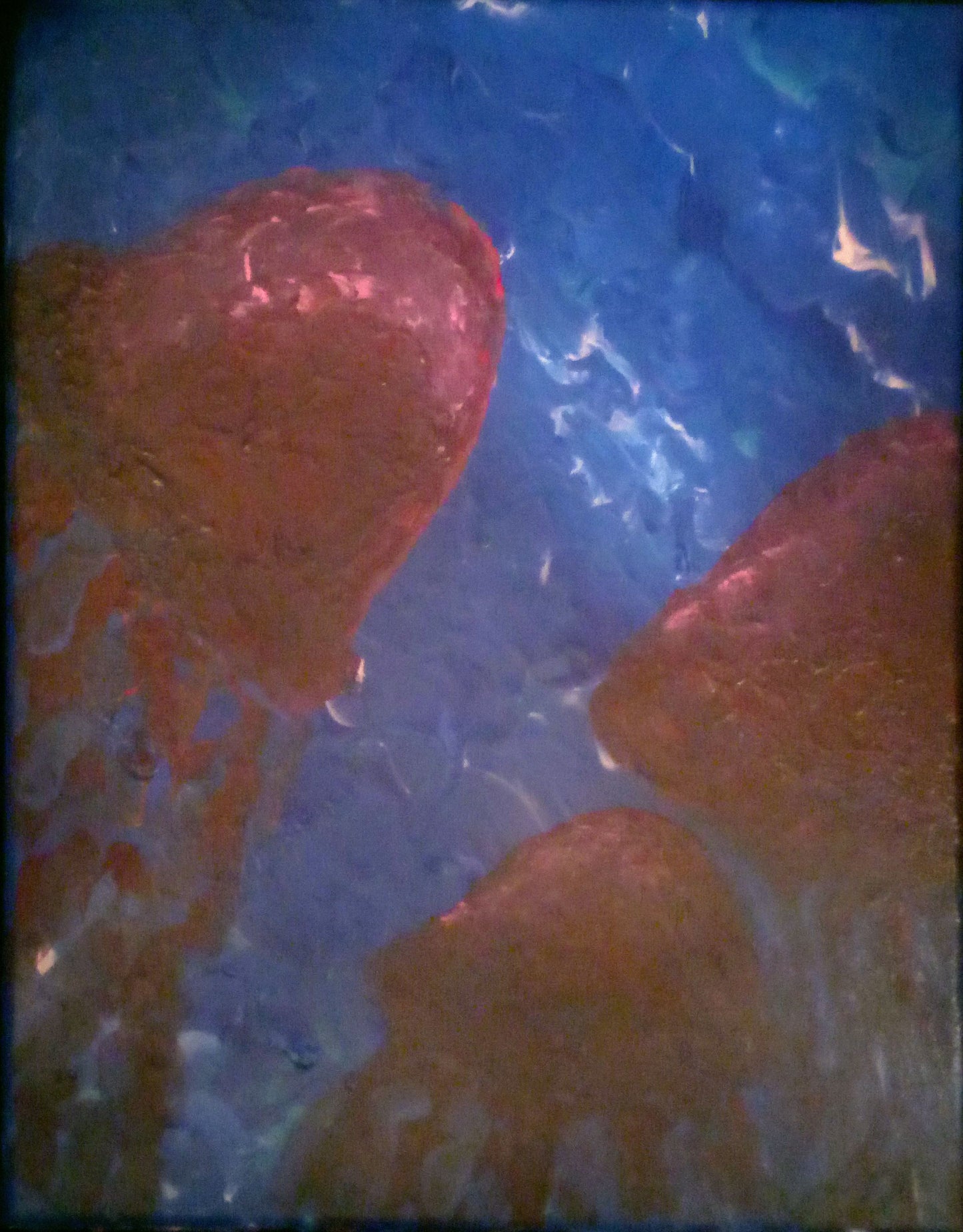 "Jelly Tides"