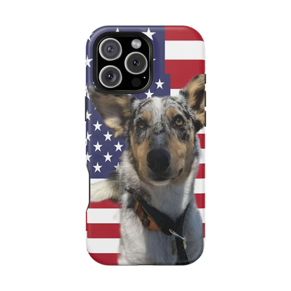 Bandit In America Impact-Resistant Cases