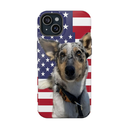 Bandit In America Impact-Resistant Cases