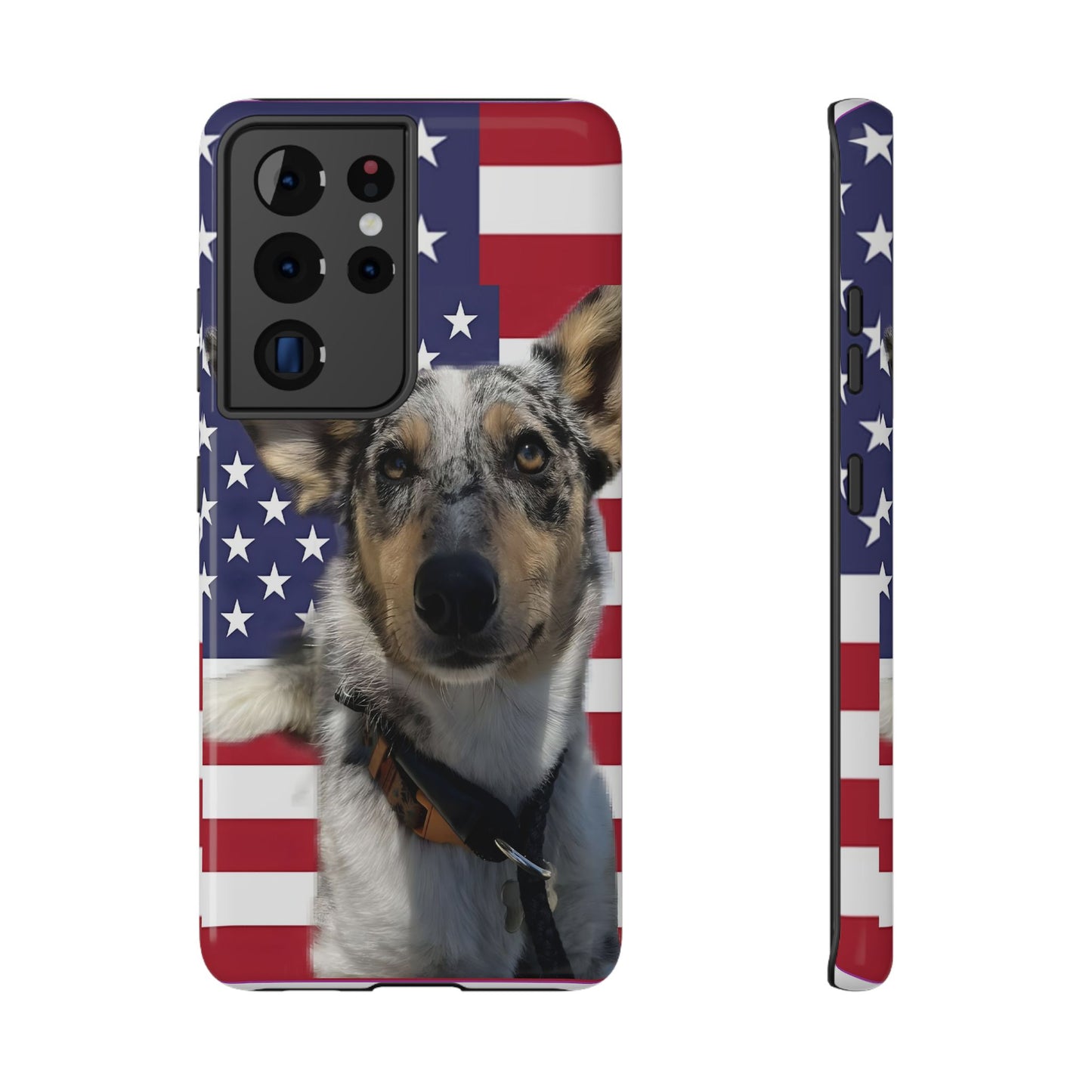 Bandit In America Impact-Resistant Cases