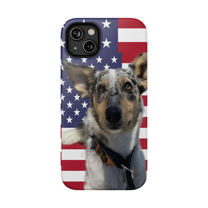 Bandit In America Impact-Resistant Cases