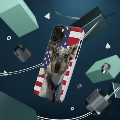 Bandit In America Impact-Resistant Cases