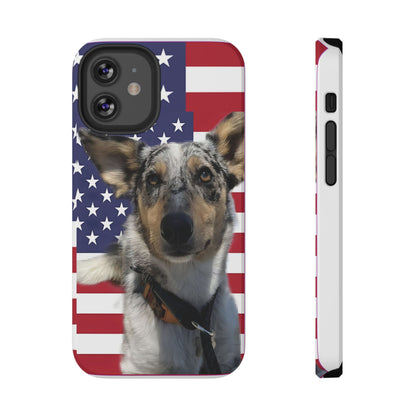 Bandit In America Impact-Resistant Cases