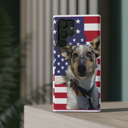 Bandit In America Impact-Resistant Cases