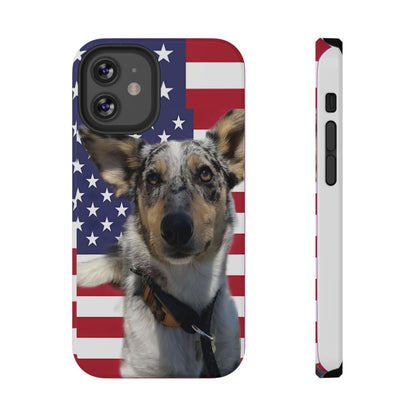 Bandit In America Impact-Resistant Cases