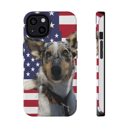 Bandit In America Impact-Resistant Cases