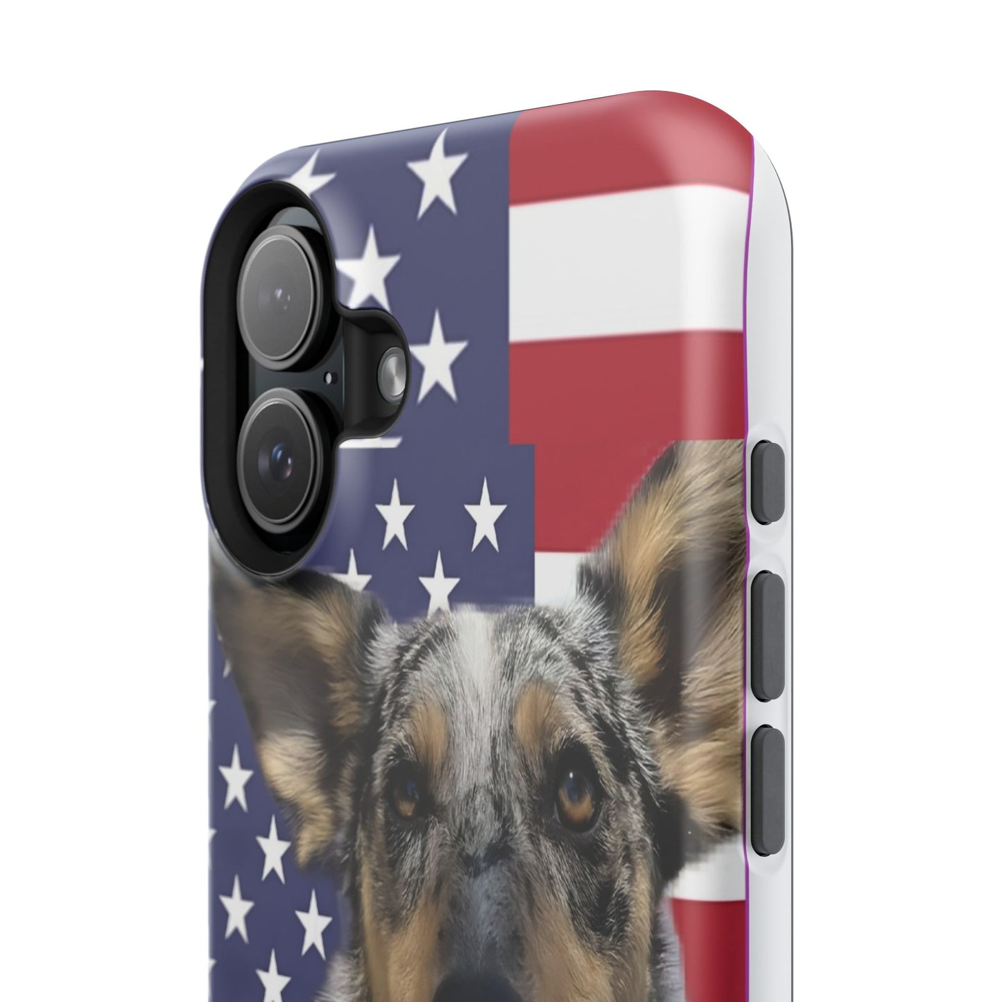 Bandit In America Impact-Resistant Cases