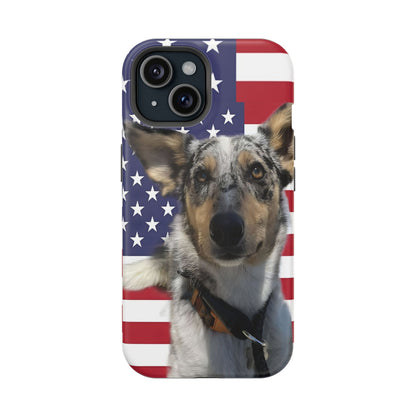 Bandit In America Impact-Resistant Cases