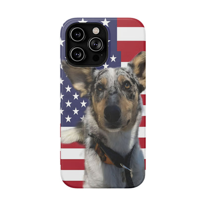 Bandit In America Impact-Resistant Cases