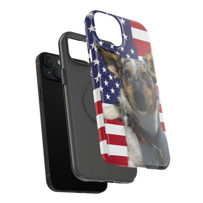 Bandit In America Impact-Resistant Cases