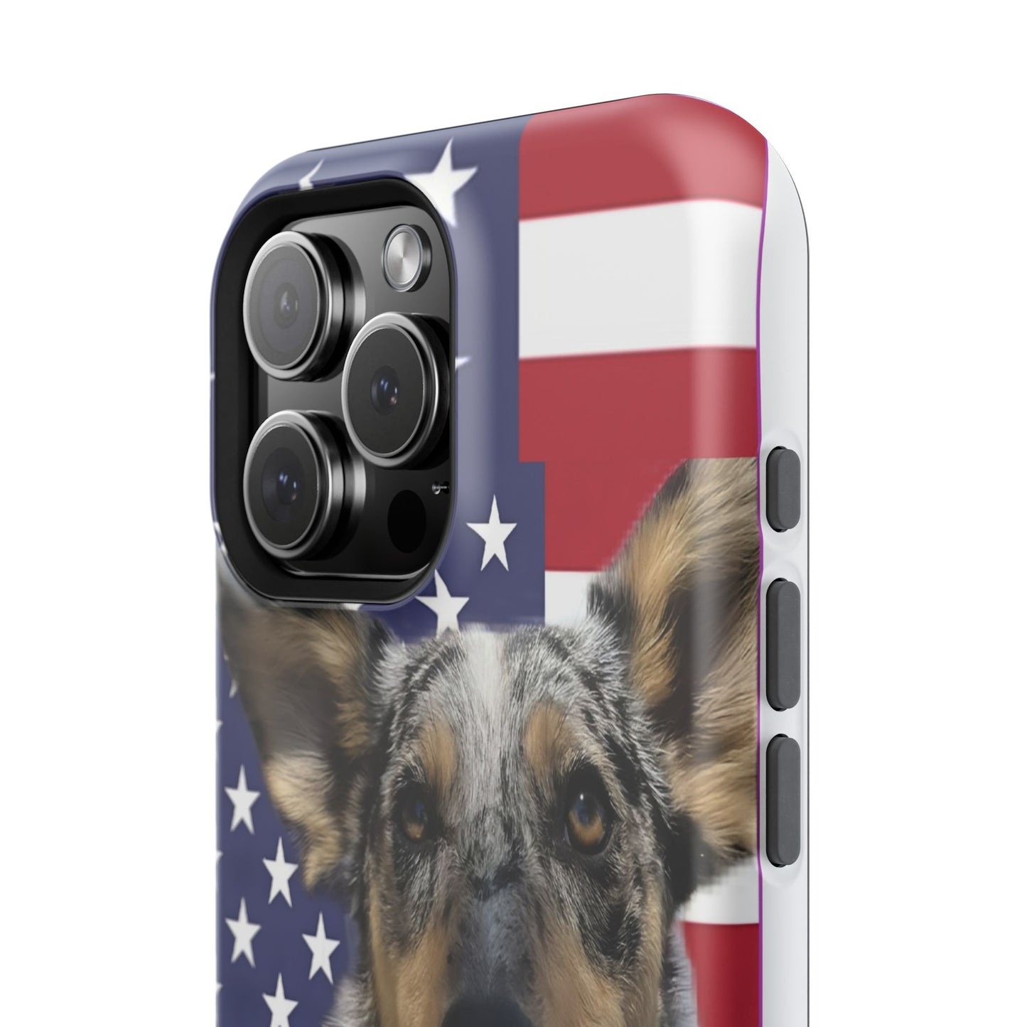Bandit In America Impact-Resistant Cases