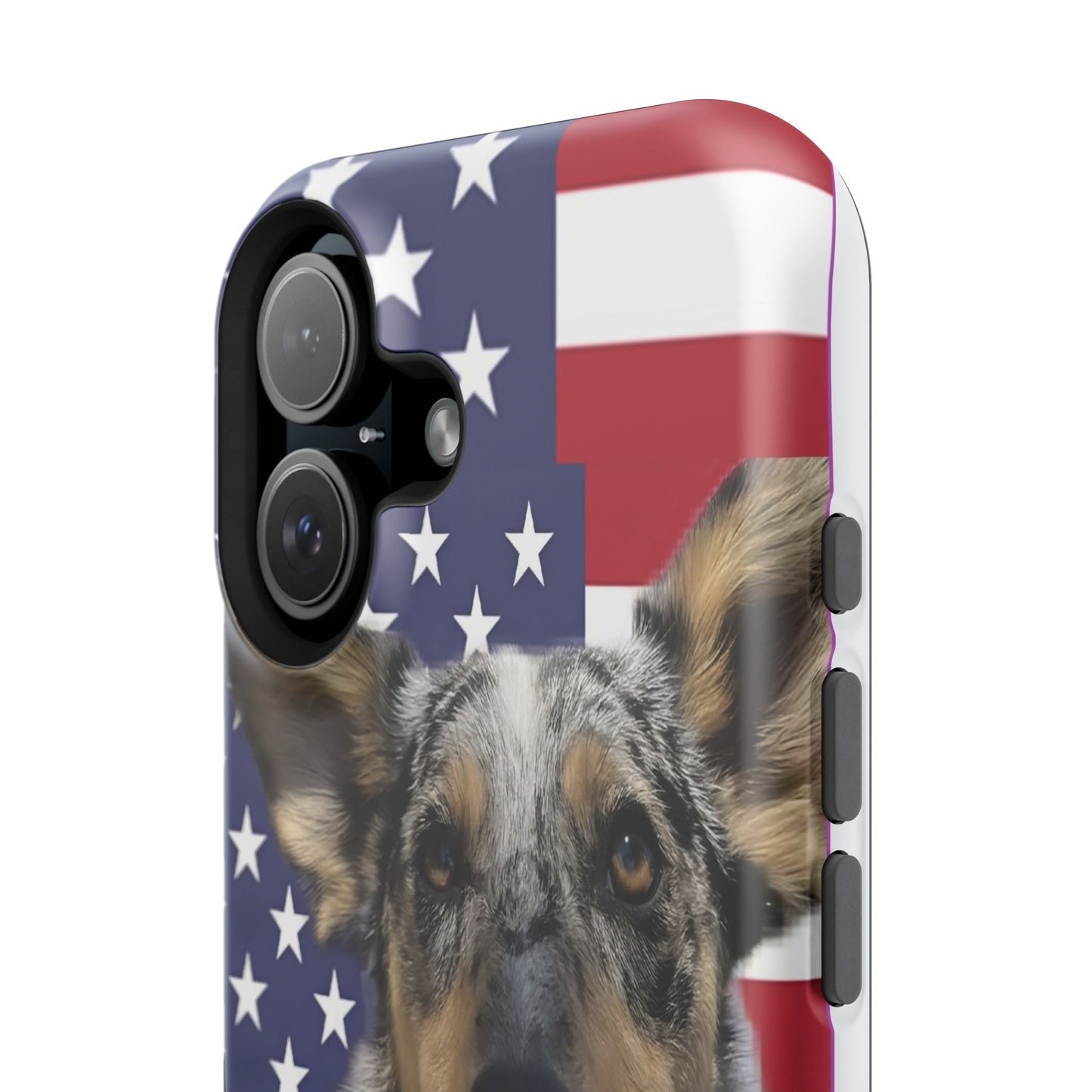 Bandit In America Impact-Resistant Cases