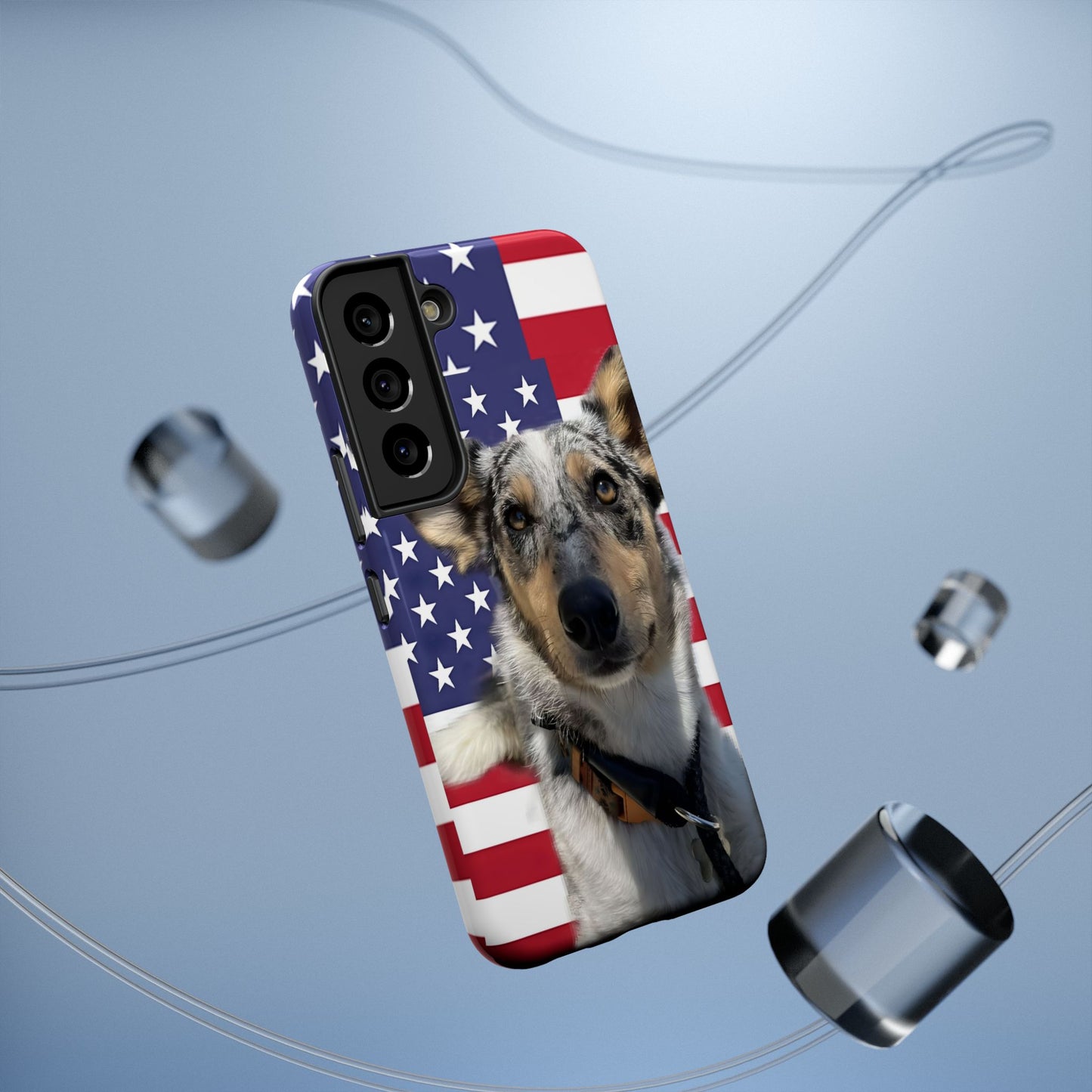 Bandit In America Impact-Resistant Cases
