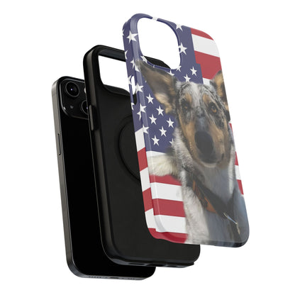 Bandit In America Impact-Resistant Cases