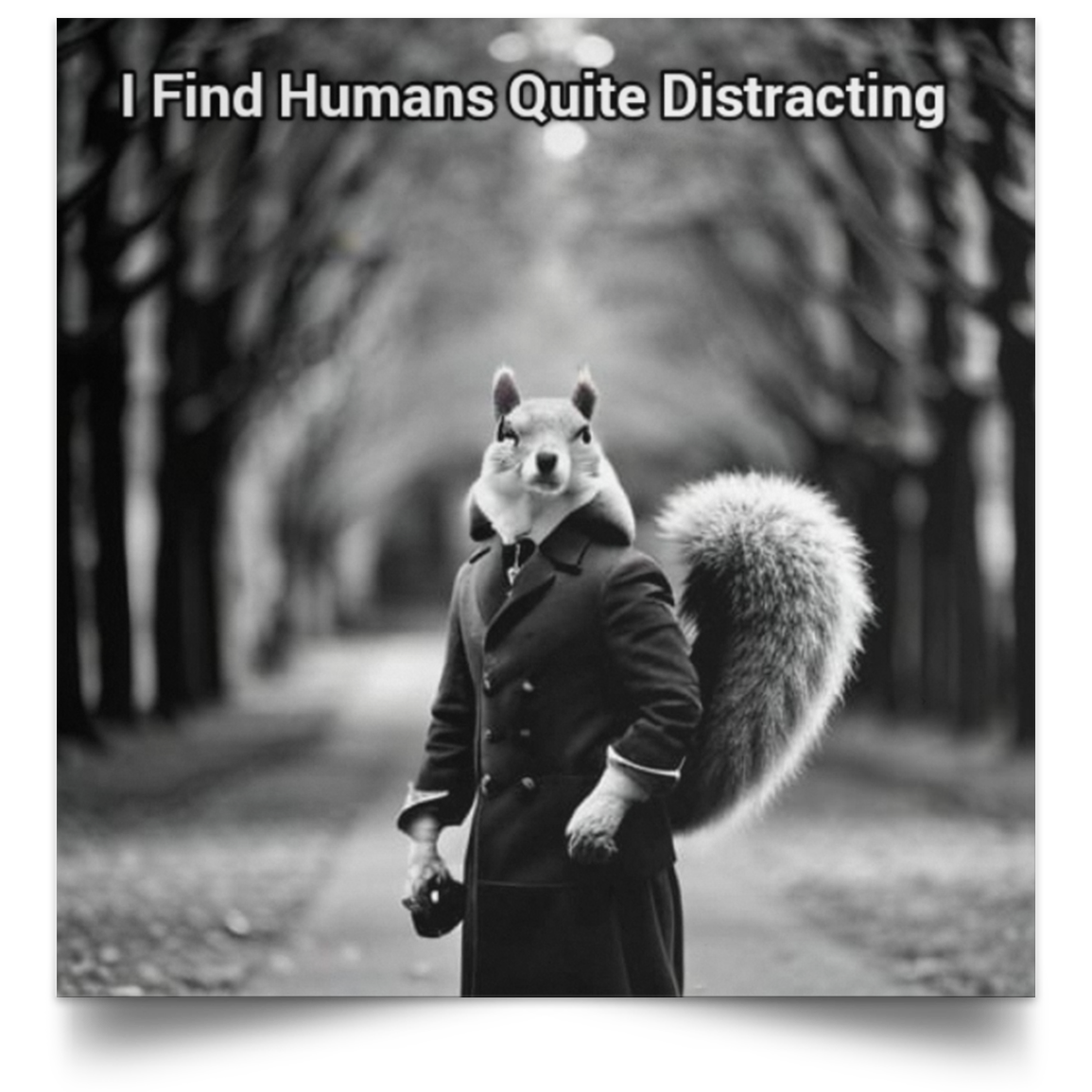 ''Distracted Squirrel'' Satin Square Poster