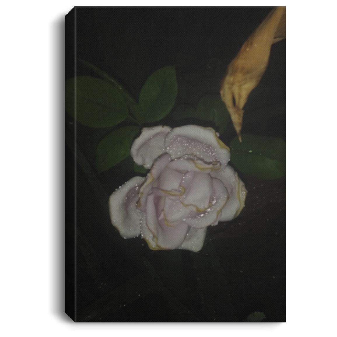 "Drowned Rose" Print